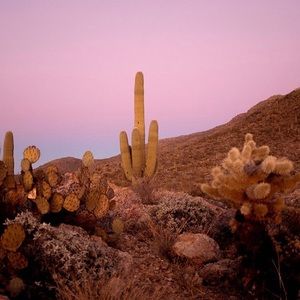 Meet your Posher, Amie